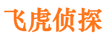 桐城侦探公司